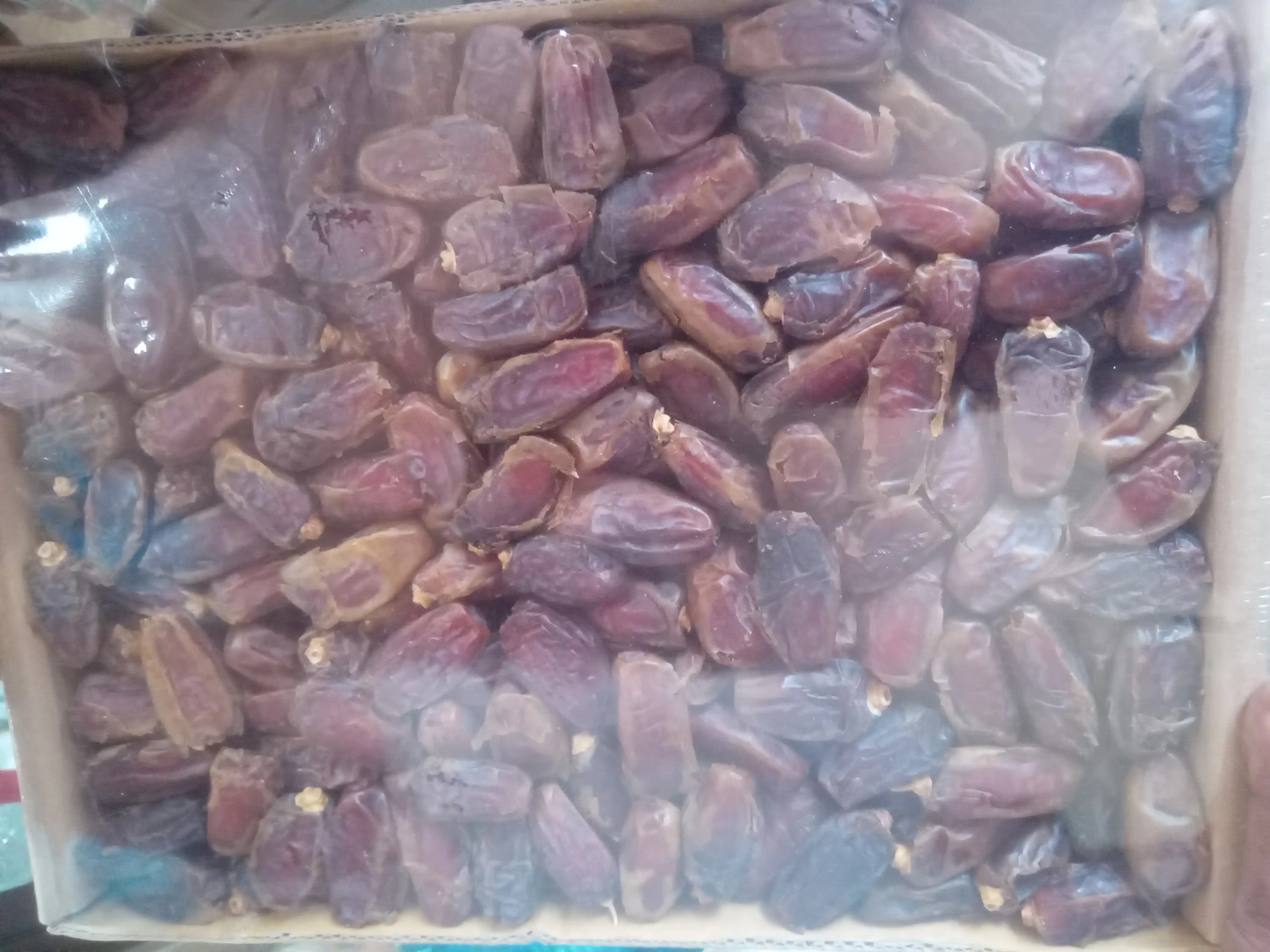 মাশরুক খেজুর