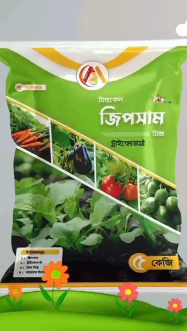 জিপসাম